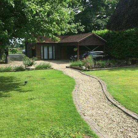 Winterborne Lodge Blandford Forum Dış mekan fotoğraf