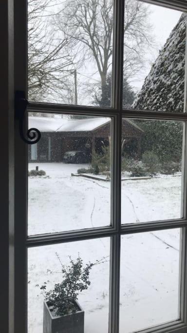 Winterborne Lodge Blandford Forum Dış mekan fotoğraf