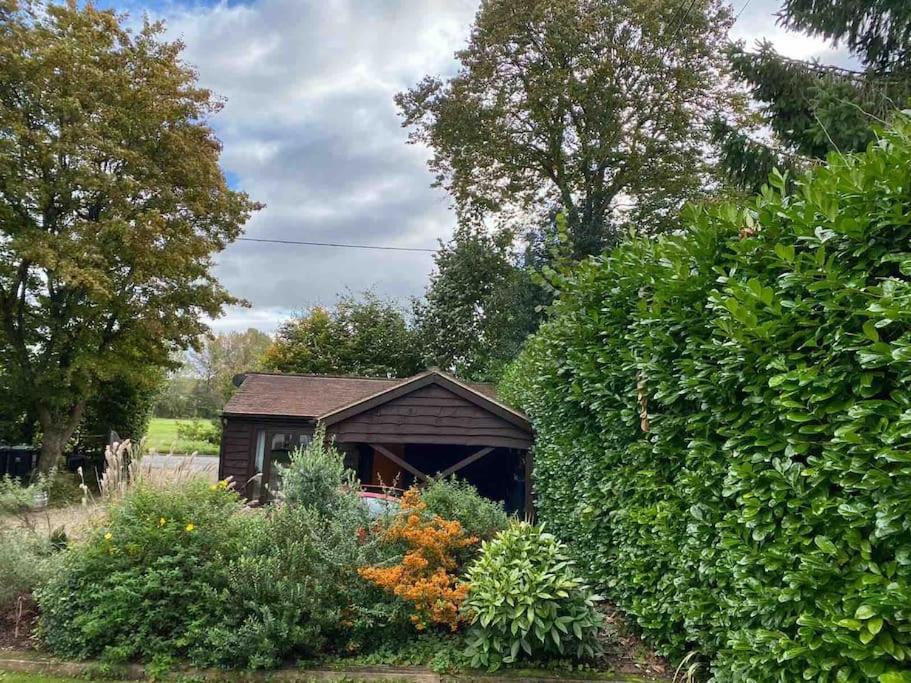 Winterborne Lodge Blandford Forum Dış mekan fotoğraf